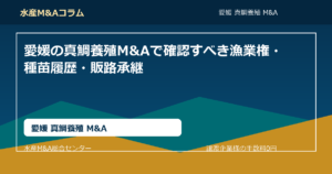 愛媛の真鯛養殖M&Aで確認すべき漁業権・種苗履歴・販路承継。愛媛 真鯛養殖 M&AのSEOコラムアイキャッチ